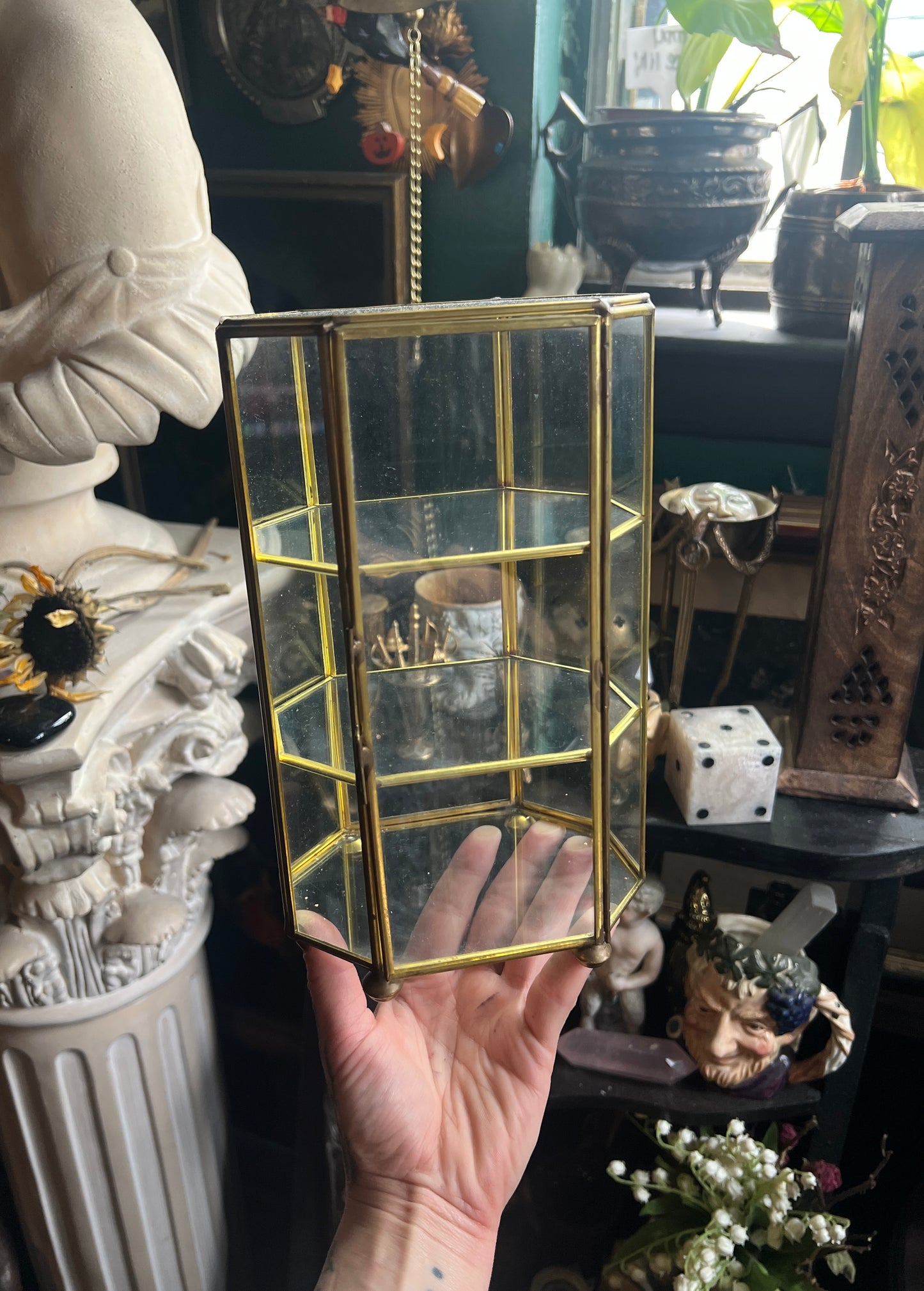 Glass Curio Cabinet