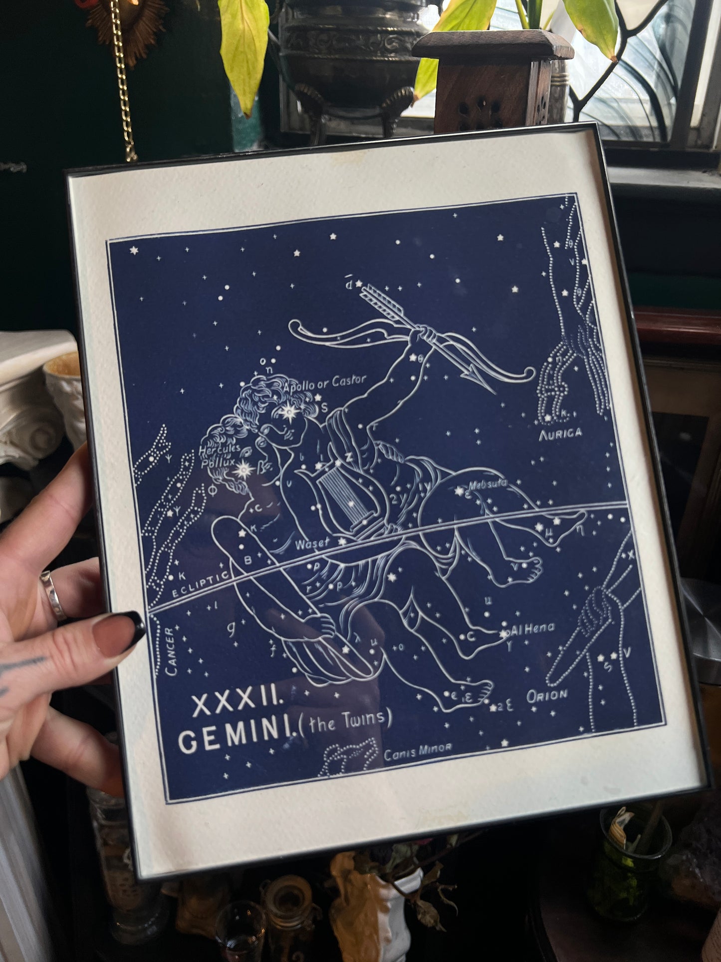 Gemini Constellation Print