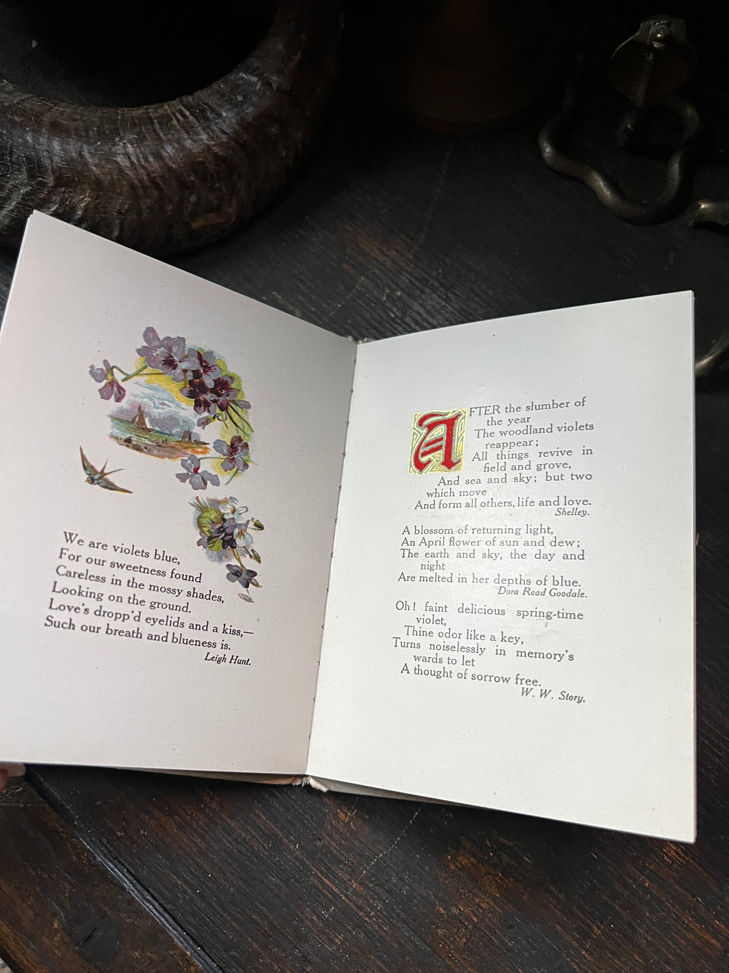 A Violet Offering Antique Poetry Book