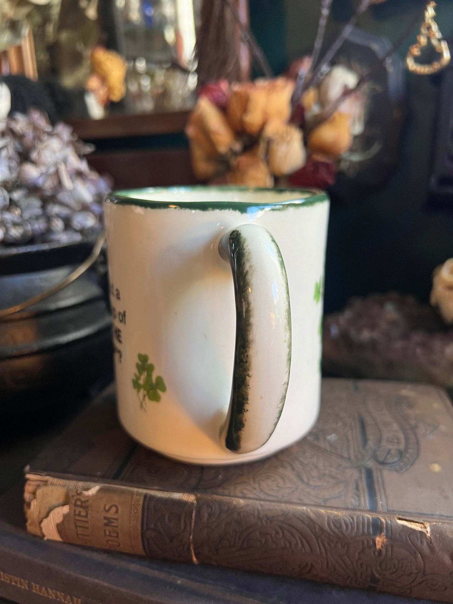 Funny Irish Mug