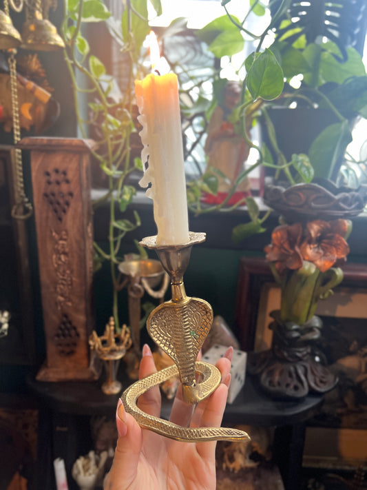 Brass Cobra Candlestick Holder