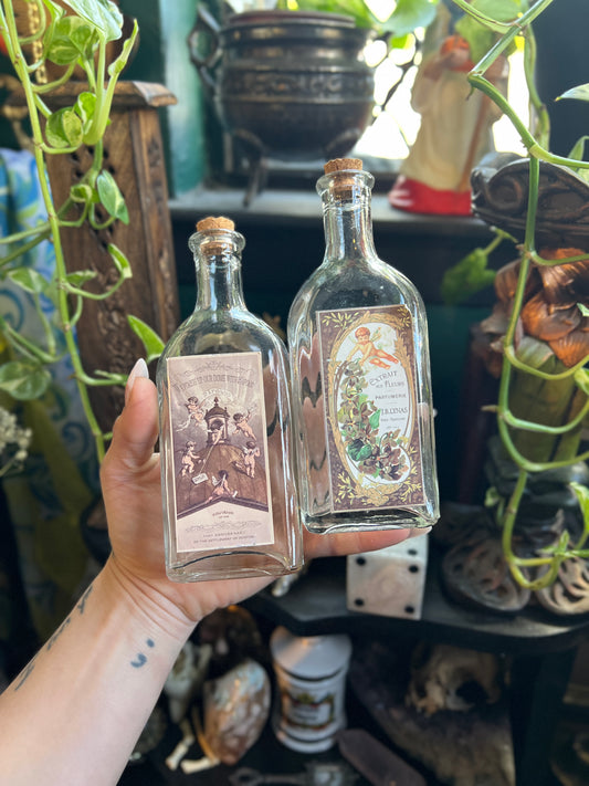 Vintage-Style Apothecary Bottles with Ornate Illustration Labels – Set of 2
