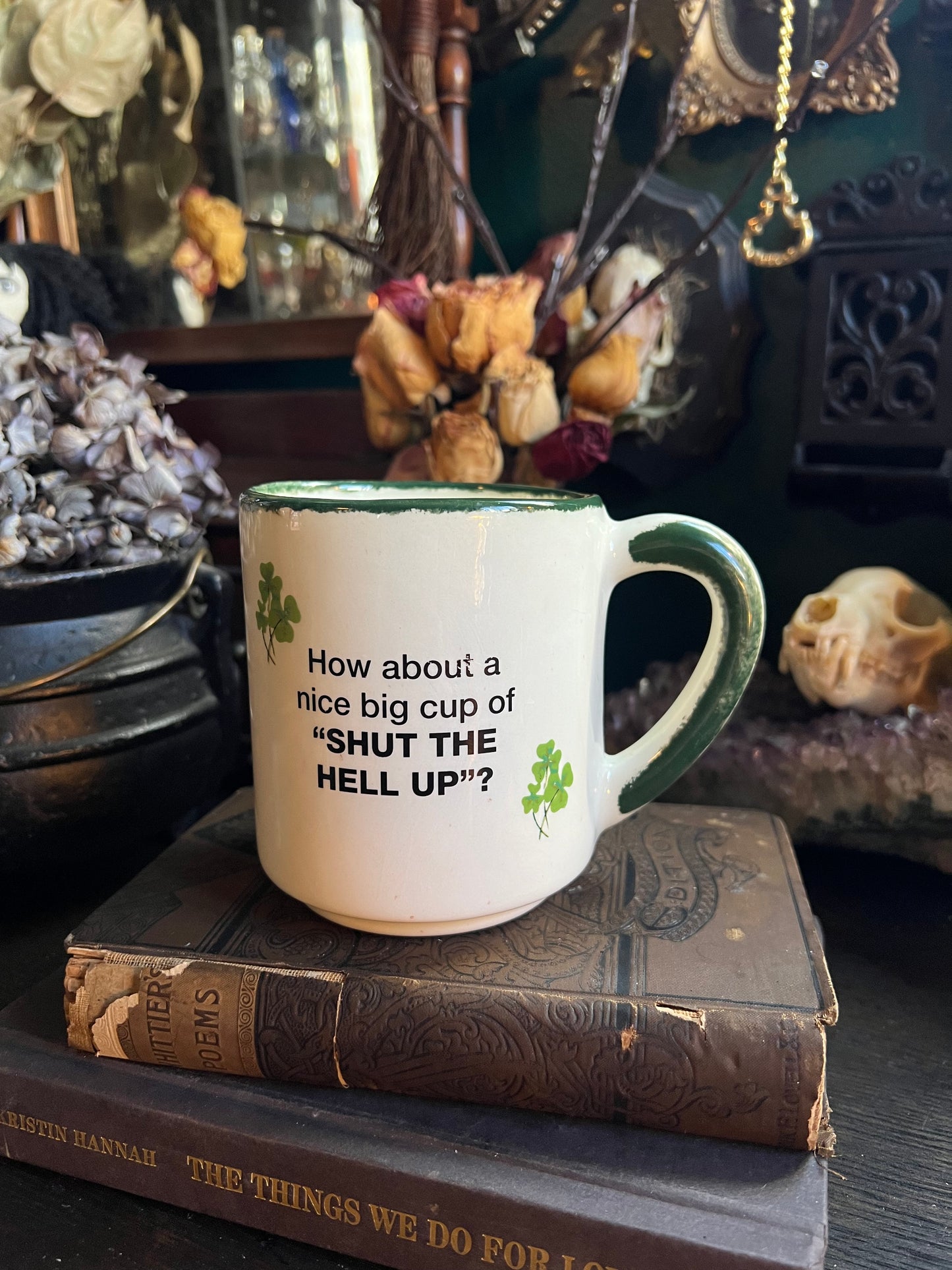 Vintage Funny Irish Mug