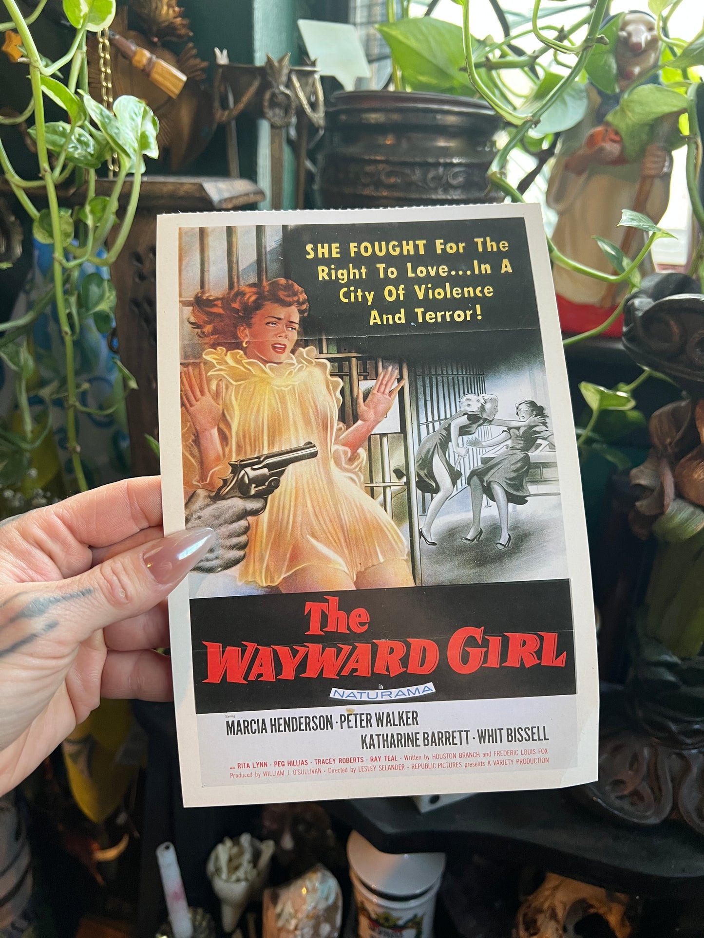 Vintage Film Noir Poster Postcards