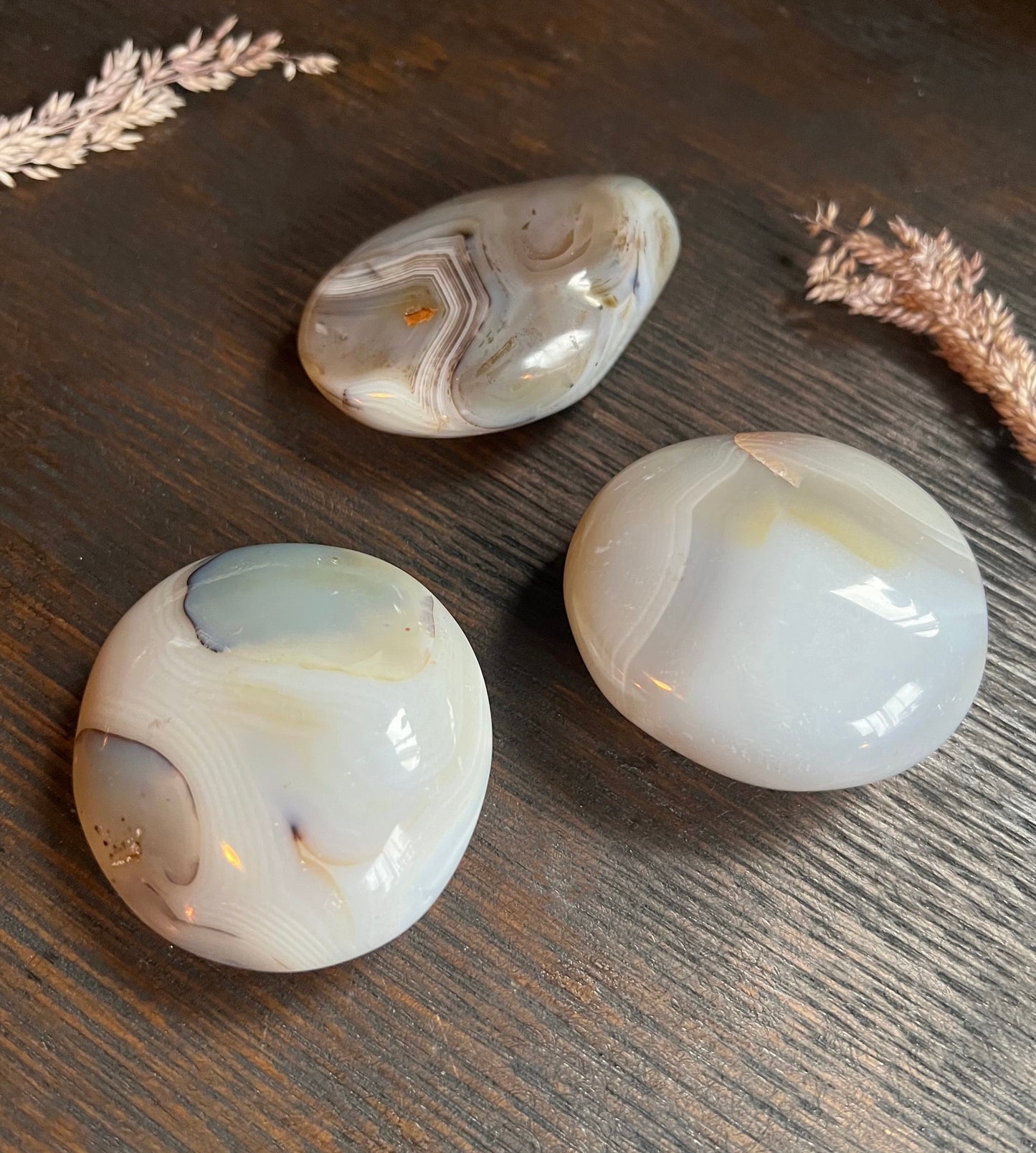 Agate Palm Stones