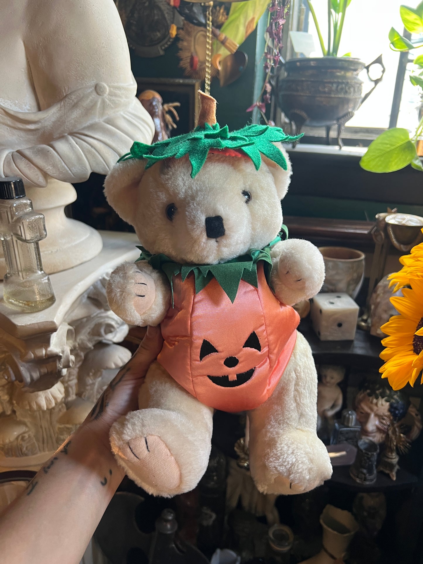 Jack O’Lantern Pumpkin Bear