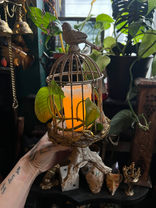 Miniature Birdcage
