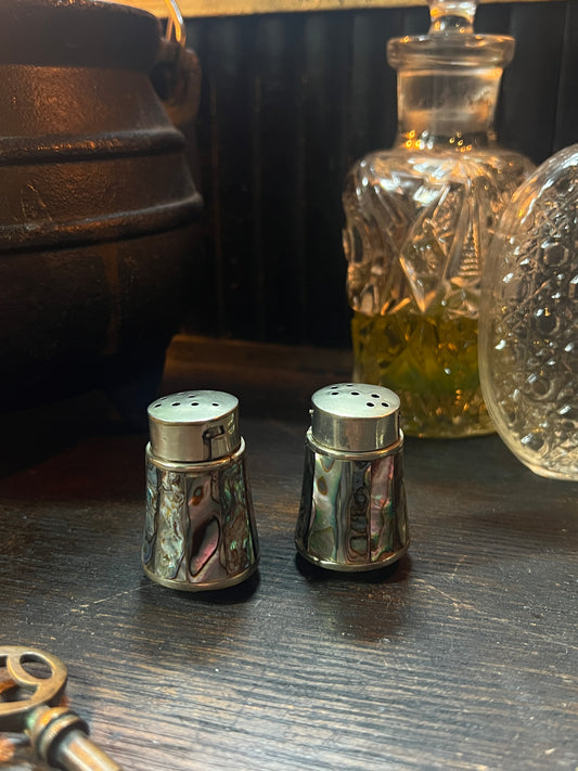 Vintage Mexico Abalone Shell Salt & Pepper Shaker Set