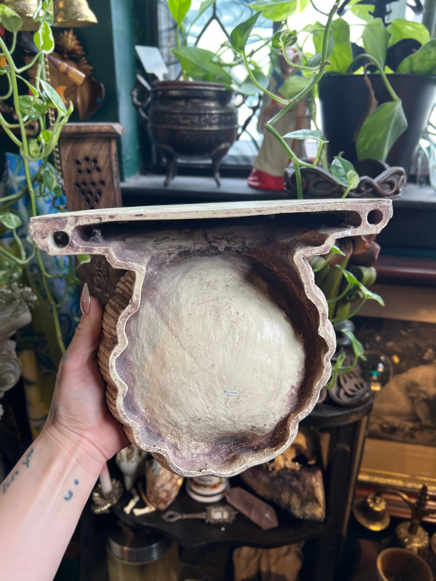 Seashell Sconce Shelf