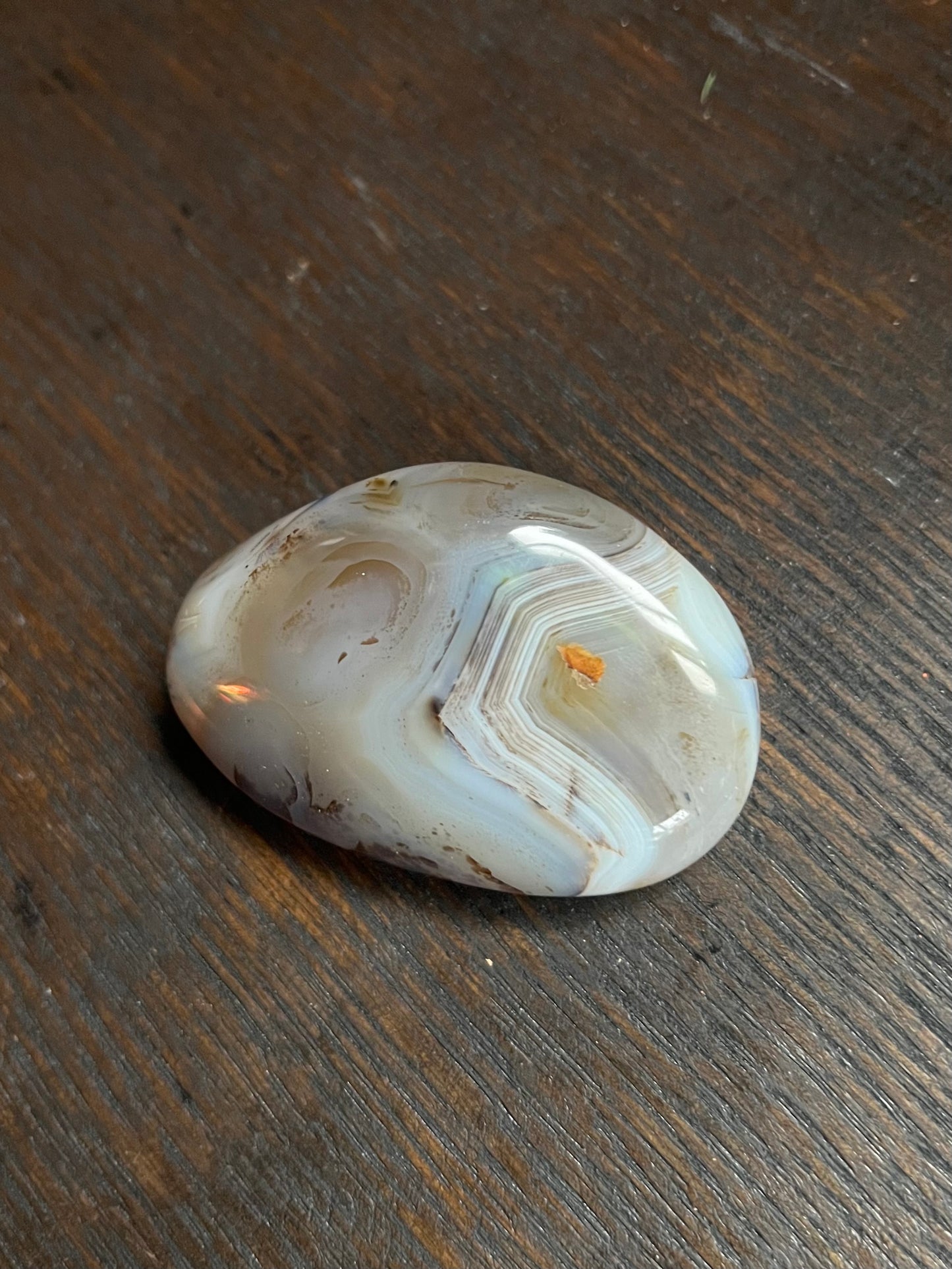 Agate Palm Stones