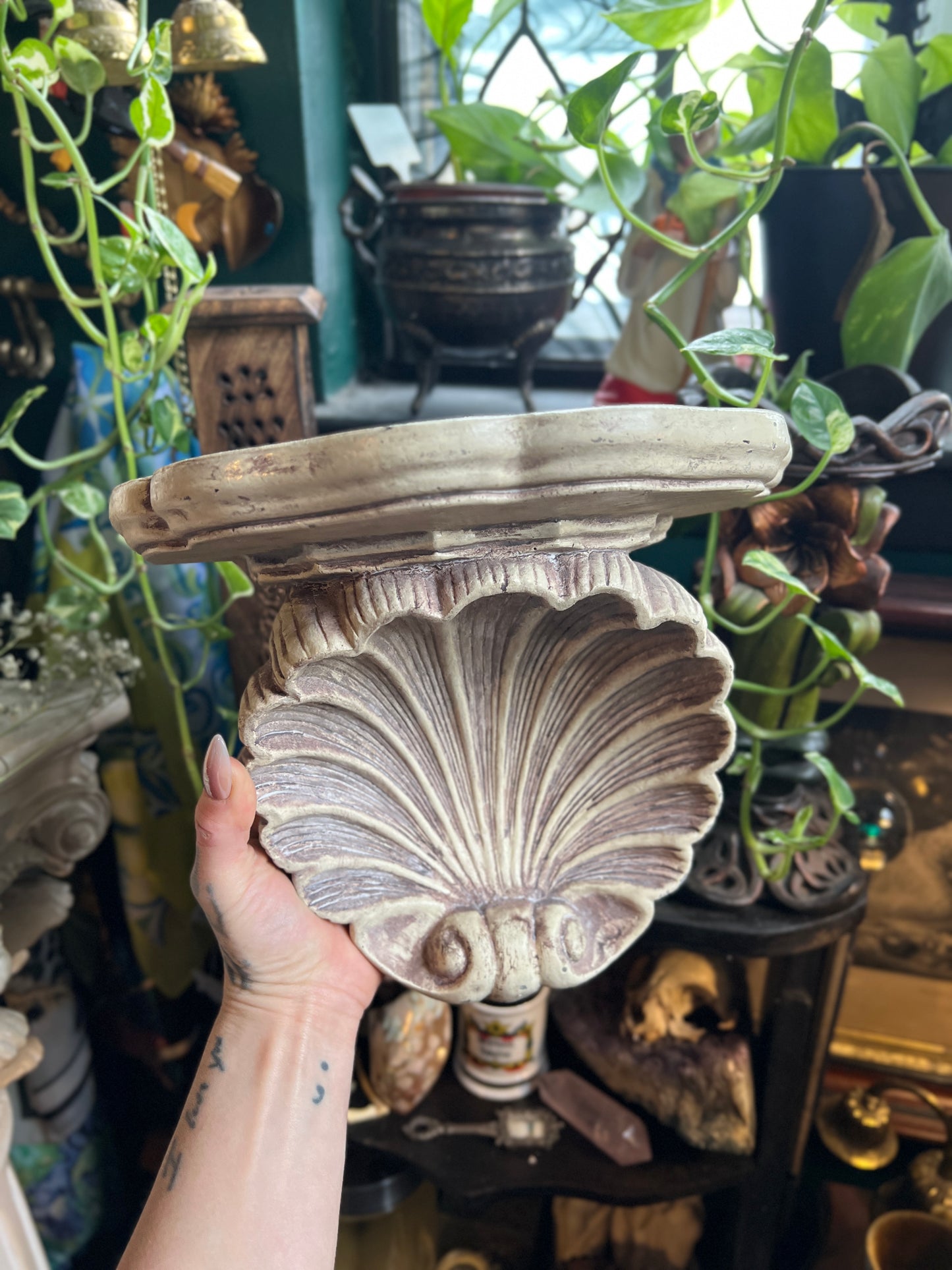 Seashell Sconce Shelf