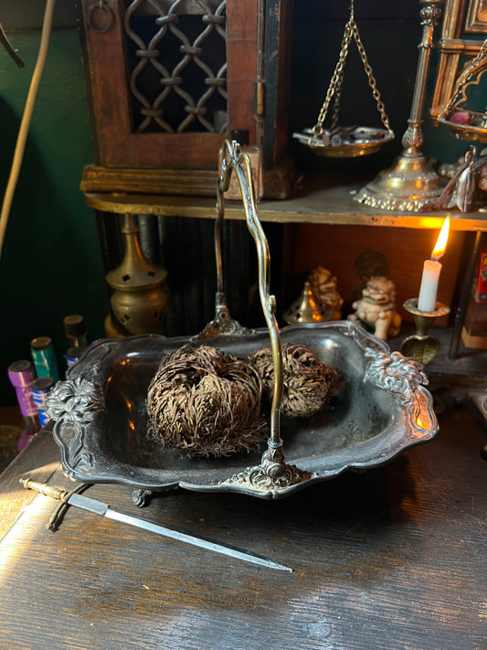 Art Nouveau Victor Silver Quadruple-plated Basket