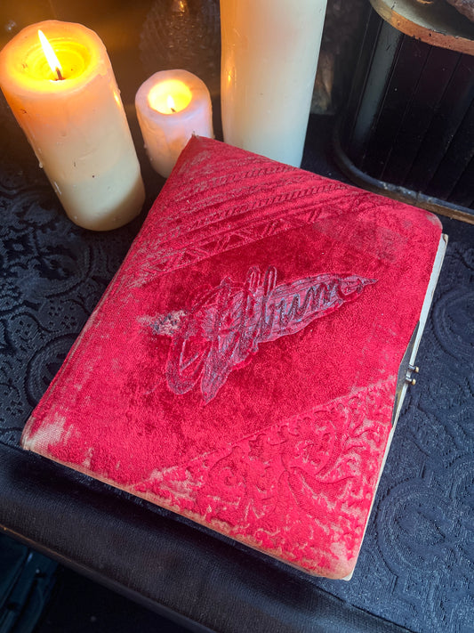 Antique Velvet Photo Album