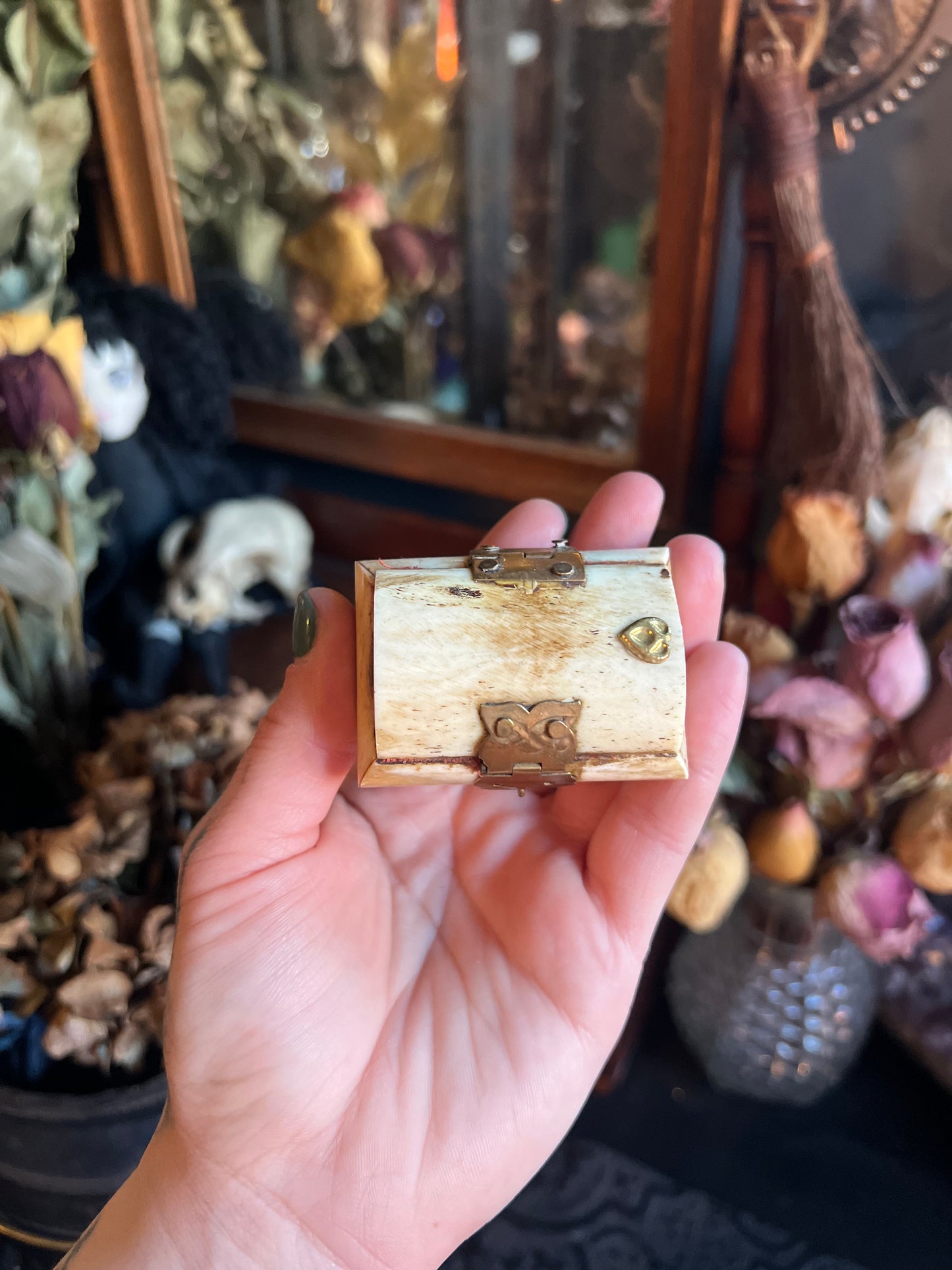 Vintage Camel Bone Trinket Box